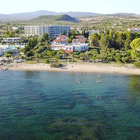 Hotel Afroditi Beach Gerakini Exterior foto