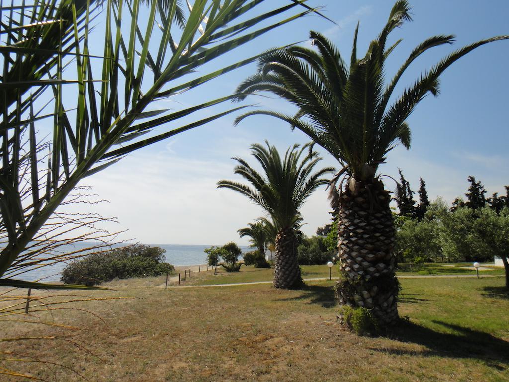 Hotel Afroditi Beach Gerakini Exterior foto